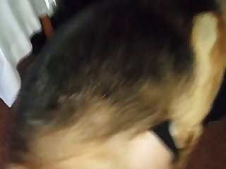 Zoofilia Casera Latina