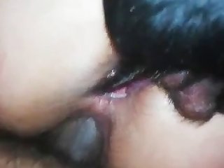 Guy Cums Inside Dog Porn