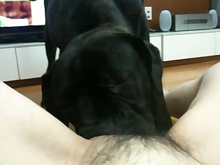 Fucking Dog In Public Porn