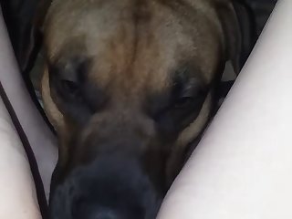 Gay Horse Zoophilia Porn