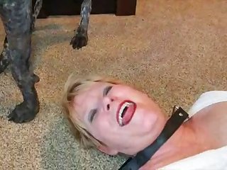 Horse Fucking People Porn