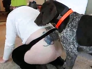 Ai Animal Sex Videos