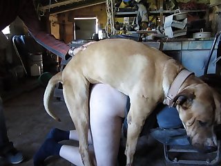 Animal Sex Utube
