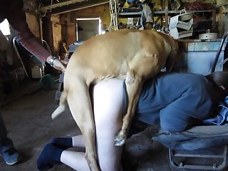 Animal Sex Utube
