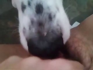 Animal Sex Girls Xxx