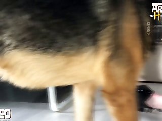 Teen Bred By Dog Porn