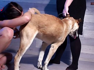 Zoofilia Dando O Cu Pro Cachorro