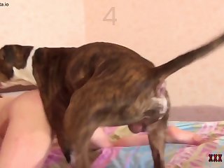Dog Impregnating Girl Porn