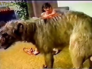 Sleeping Girl Fucked By Dog Porn