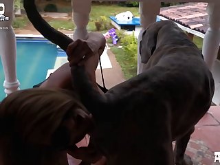 Zoo Porn Donkey Stallion Slut Girl