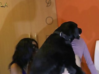 Clermont Twins Animal Porn