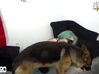 Animal Porn Breeding