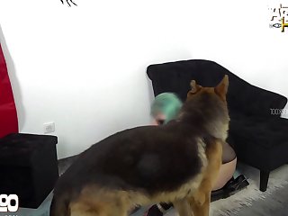 Animal Porn Breeding