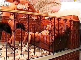 Porn Animal Cum