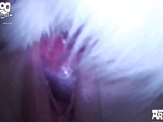 Human And Animal Sex Porn