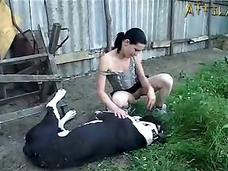 Animal Movie Porn Clips