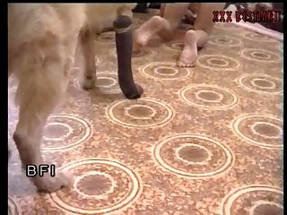 Lesbian Animal Porn Videos