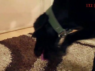 Xxx Animal Free Porn