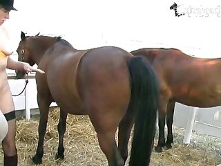 Animal Girl Anime Porn