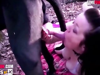 Animal Animal Porn Video