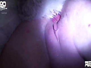Animal Sex Porn Youtube