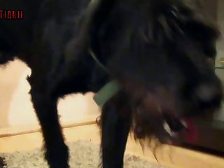 Teen Animal Porn Xxx