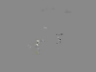 Animal With Women Porn Tube