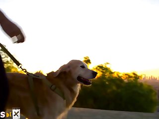 Animal Sex Stories Porn