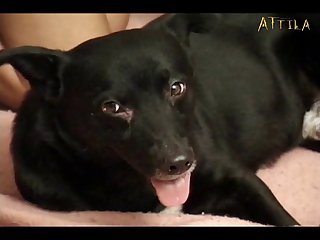 Telegram Zoofilia Grupo