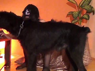 Comics De Zoofilia Porno