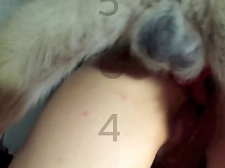 Zoofilia Mamada De Perro