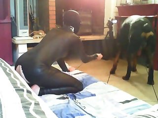 Zoofilia Con Perros Grandes Xxx