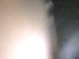 Porno Animal Animacion