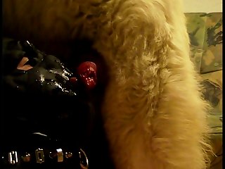 Porno Doido Italiano Fudendo Com Animal