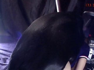 Porno. Com Animal