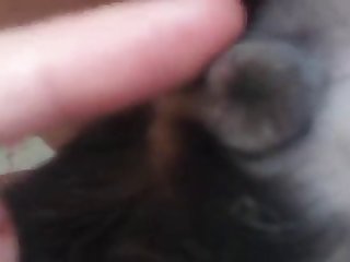 Playing With Dog Pussy