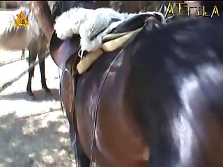 Esther Outdoors With Horse
