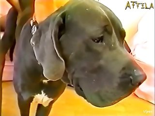 Cindy Aka Betty Aka Amy Wilson In Topscore Bbd5071 Bestiality Slut