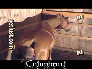 Porn Xxx Sex Big Tits