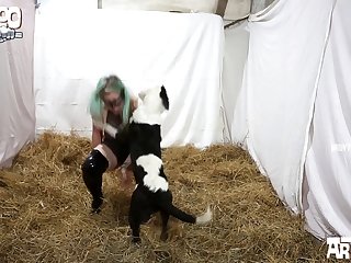 Jamelizz Porn Xxx