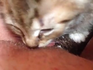 Best Sex Xxx Porn Video