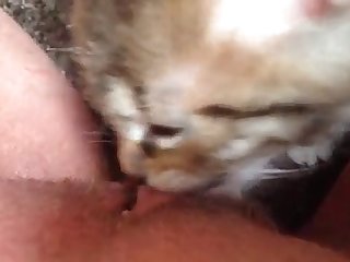 Best Sex Xxx Porn Video