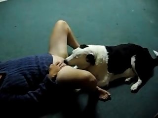 Xxx Com Video Hd Porn