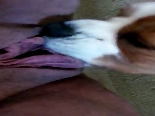 Angela James Hd Porn Xxx Porn