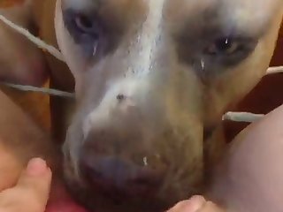 Pack Casero Xxx Porn