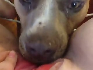 Pack Casero Xxx Porn