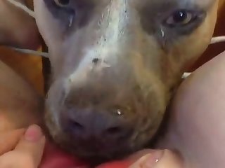 Pack Casero Xxx Porn