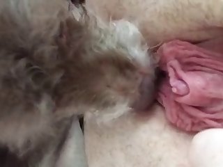 Full Hd Porn Xxx Com