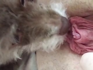 Full Hd Porn Xxx Com