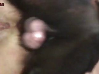 Ivana Zoo Porn